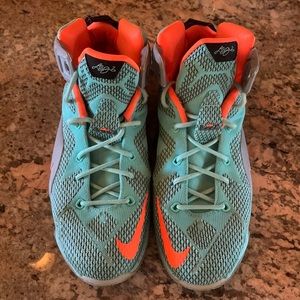 Lebron high too basketball shoes